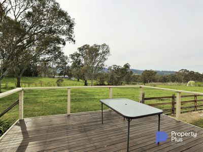 17 Twyford Street, Harcourt