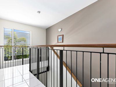 54 / 230 Pulgul Street, Urangan