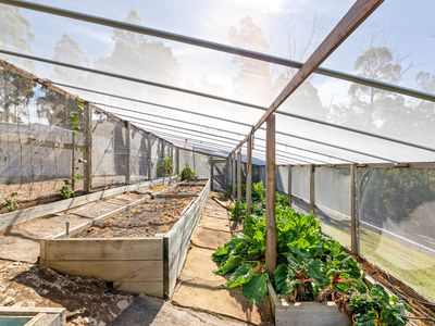 23 Blackbutt Lane, Malua Bay