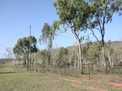Mareeba