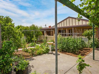 3 Electra Street, Netley