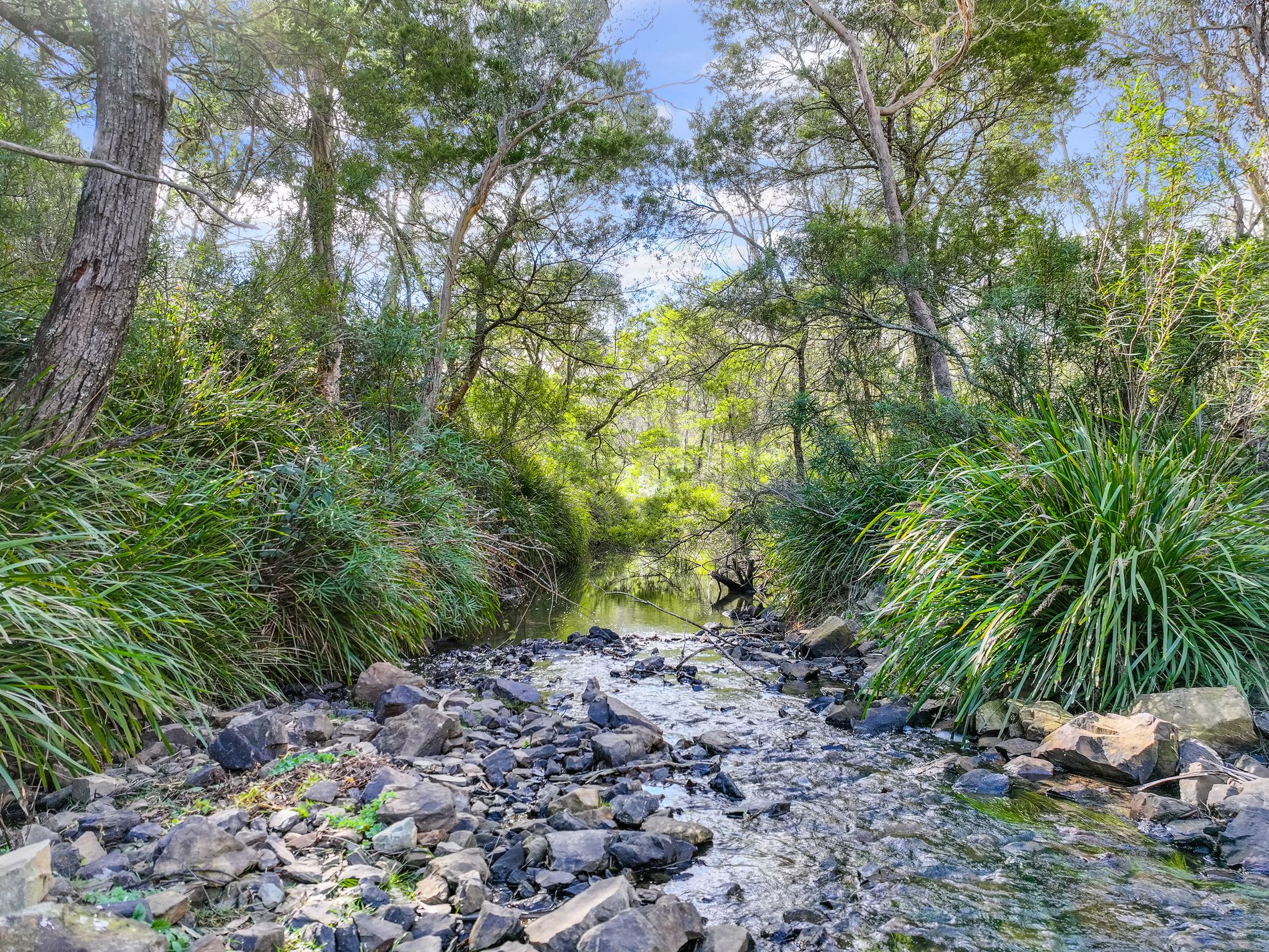 Lot 193 / 443 Back Creek Road, Mongarlowe