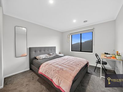 16 Mandrake Street, Tarneit