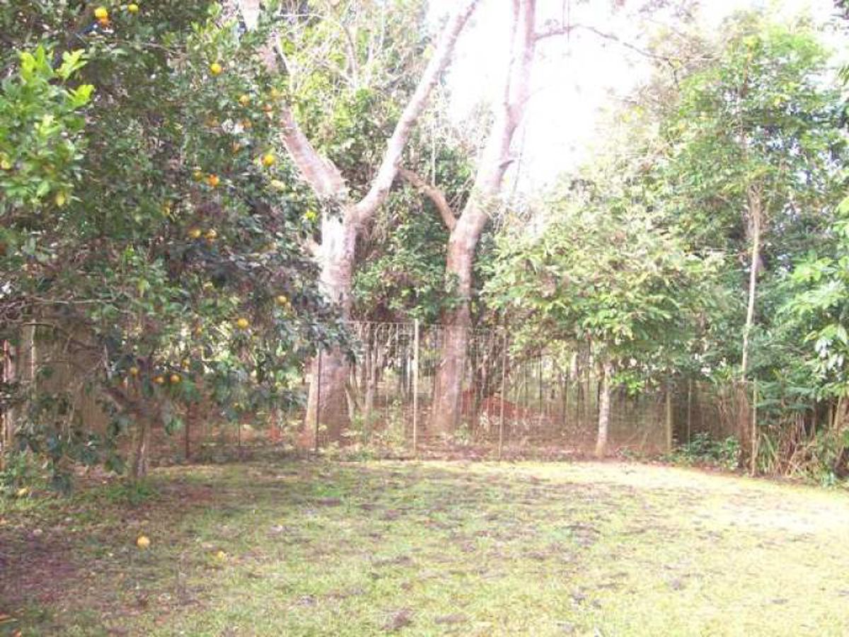 Lake Eacham