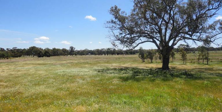 112 Jefferies Road Locksley, Avenel