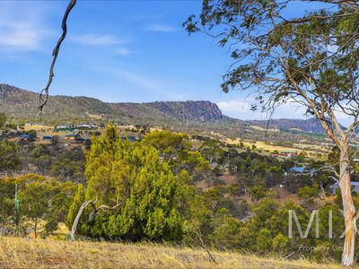 6 Amygdalina Rise, Honeywood