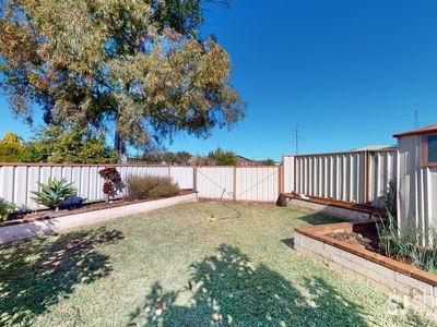 11 Bass Place, Dubbo