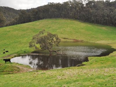 Bullhead Road, Mitta Mitta