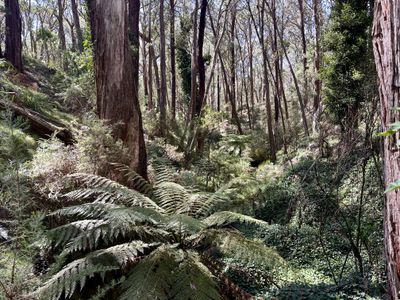 124 Gumms Road, Harolds Cross