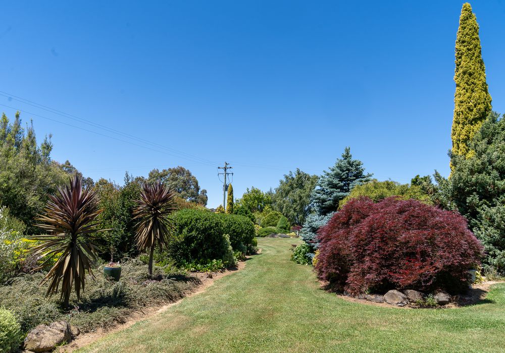 127 Orchard Road, Springside