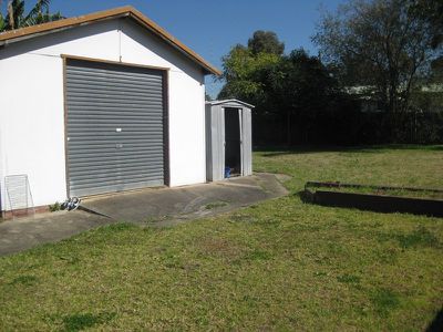 Lurnea