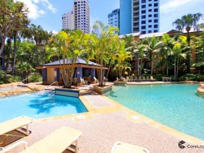 43 / 955  Gold Coast Highway, Palm Beach