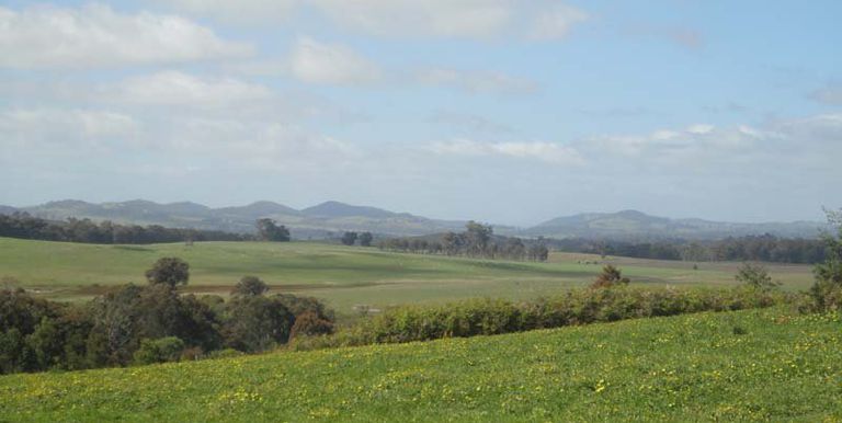 Harrys Creek Road, Strathbogie