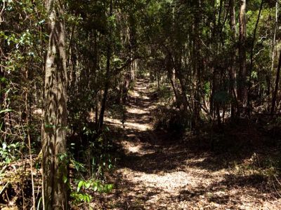 Maleny