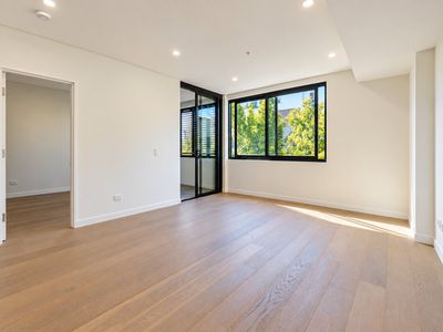 411 / 219-231 Botany Road, Waterloo