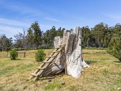 99 Britcliffes Road, Geeveston