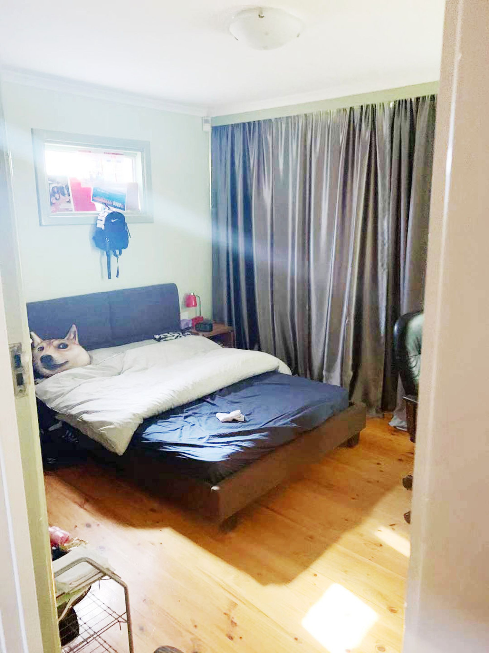 16 Alma Street, Panorama