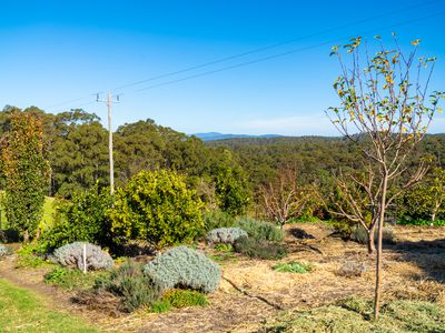 9052 Princes Highway, Tilba Tilba