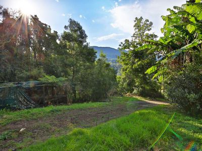 715 Wattamolla Rd, Wattamolla