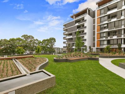 314 / 255 Morrison Road, Ryde