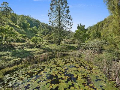 345 Harpers Creek Road, Conondale