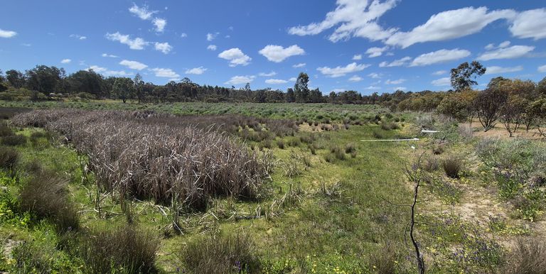 Lot 2 Gellibrand Tonks Road , Earlston