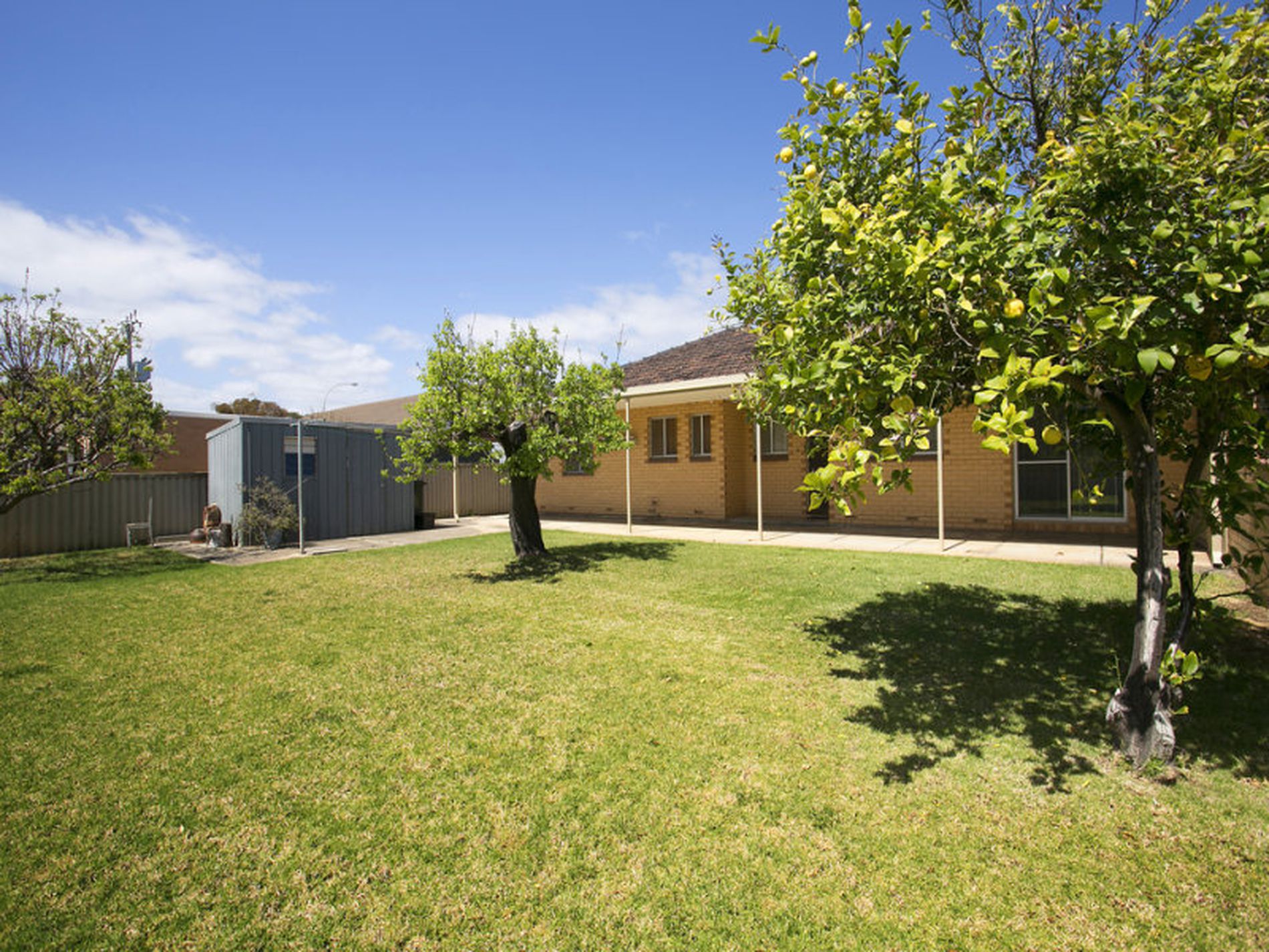 228 Trimmer Parade, Grange