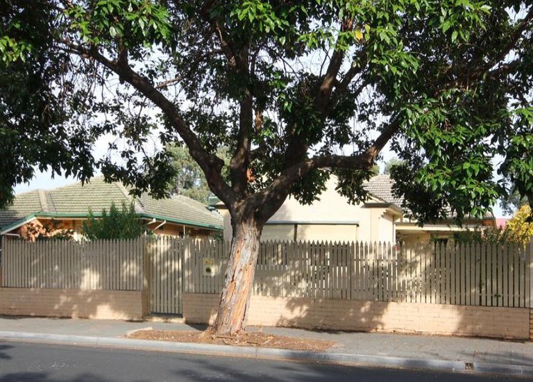 60 Tutt Avenue, Kingswood