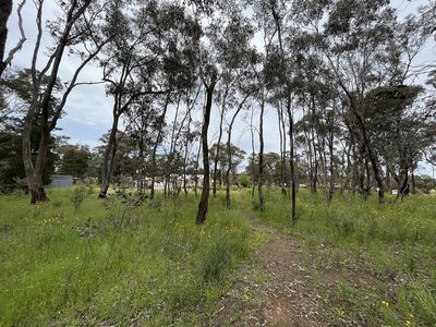 2 Alice Street, Dunolly