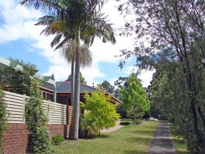 202 Matron Porter Drive, Mollymook