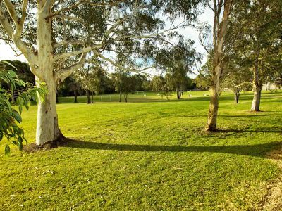 54 Parkside Drive, Dapto