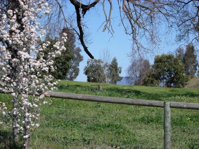 38 Hillandale Court, Bonegilla
