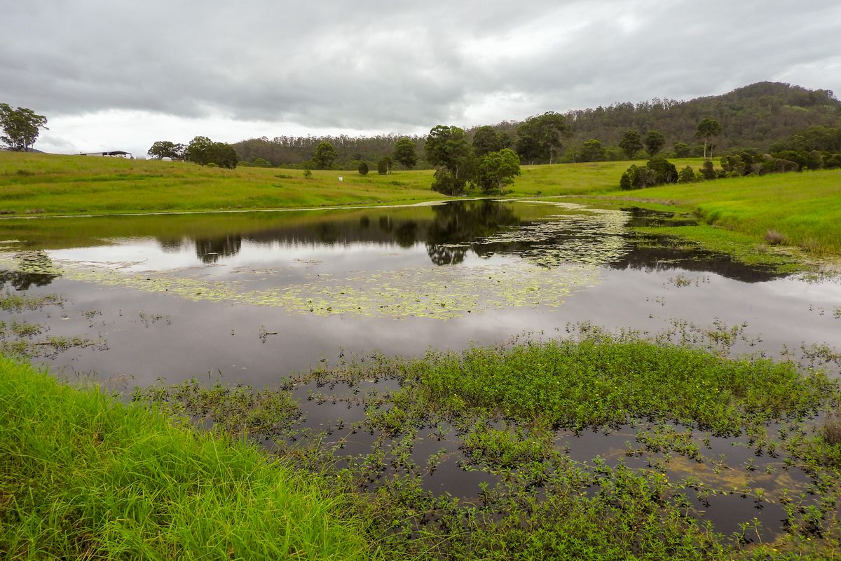 236a Khatabundah Road, Wingham