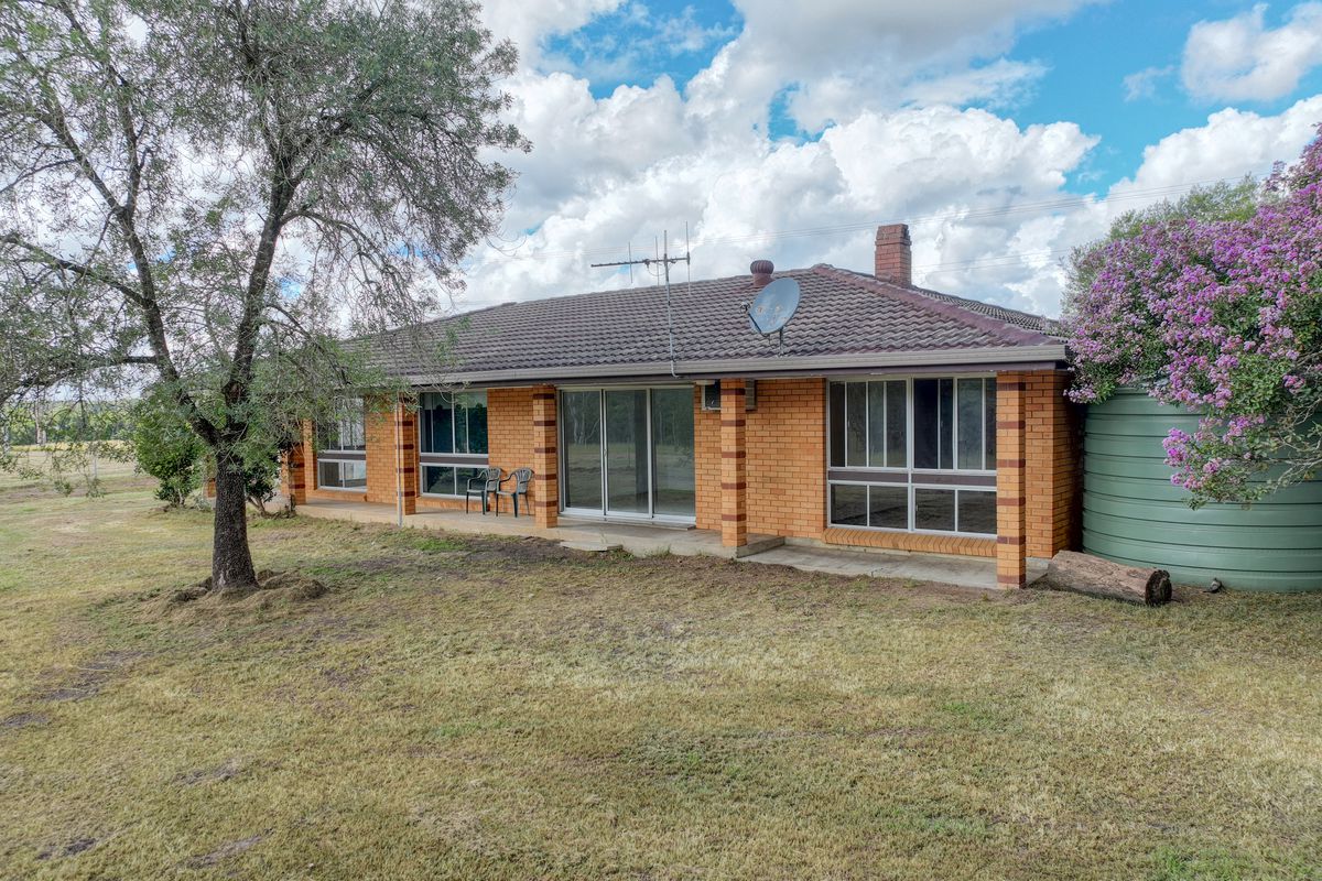 40 Yarratt Road, Cedar Party