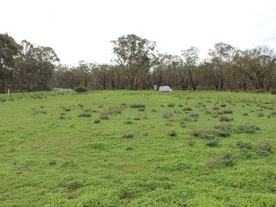 Old Boort Road, Wedderburn