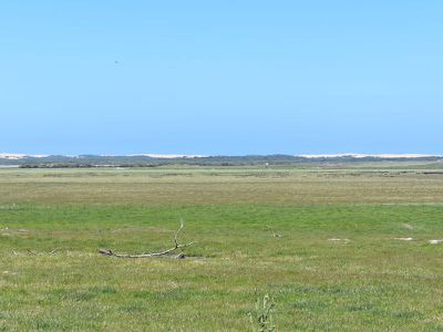 1404 Canunda Frontage Road, Millicent