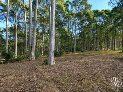 Lot 16, Mystery Bay Road, Mystery Bay