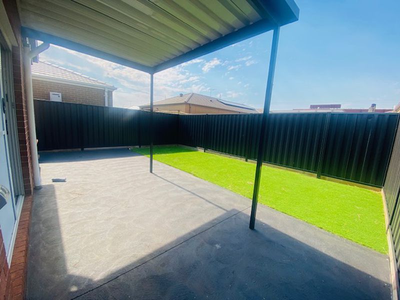 24 Rice Flower, Strathtulloh