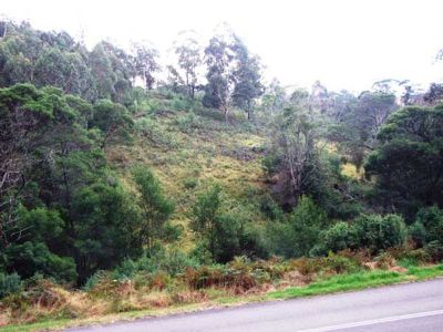 Lot Lot, 492 Mt Darragh Road, Lochiel