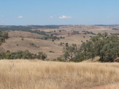 Pindari Dam Road, Ashford