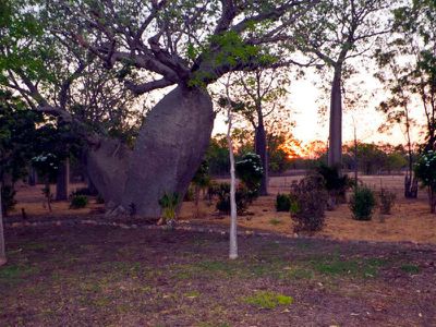 14 / Weaber Plain Road, Kununurra