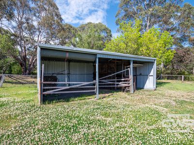 144 Bradleys Lane, Glen Innes