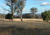 2474 Mitchell Highway, Molong