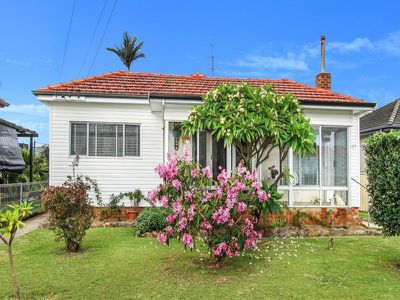 117 Pur Pur Avenue, Lake Illawarra
