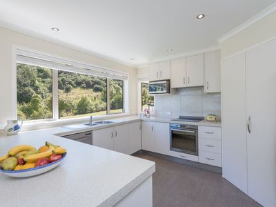 16 Saddleback Road, Todds Valley