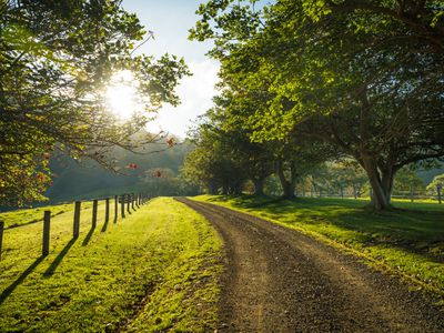 49 Mount Dromedary Trail, Tilba Tilba