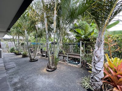 3 Dougan Street, Point Vernon