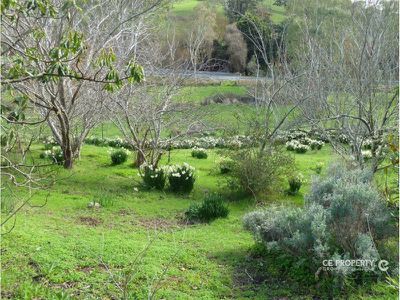 433 Cudlee Creek Road, Cudlee Creek