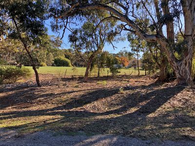 2-20 Godfrey Street, Wedderburn