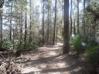 870 Leebold Hill Road, Kangaroo Valley